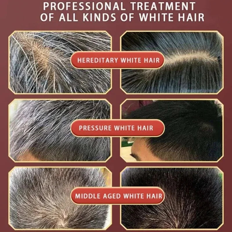 Herbal Hair Dye Shampoo – Gray Coverage & Hair Care